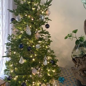 Meet your Posher, Roni